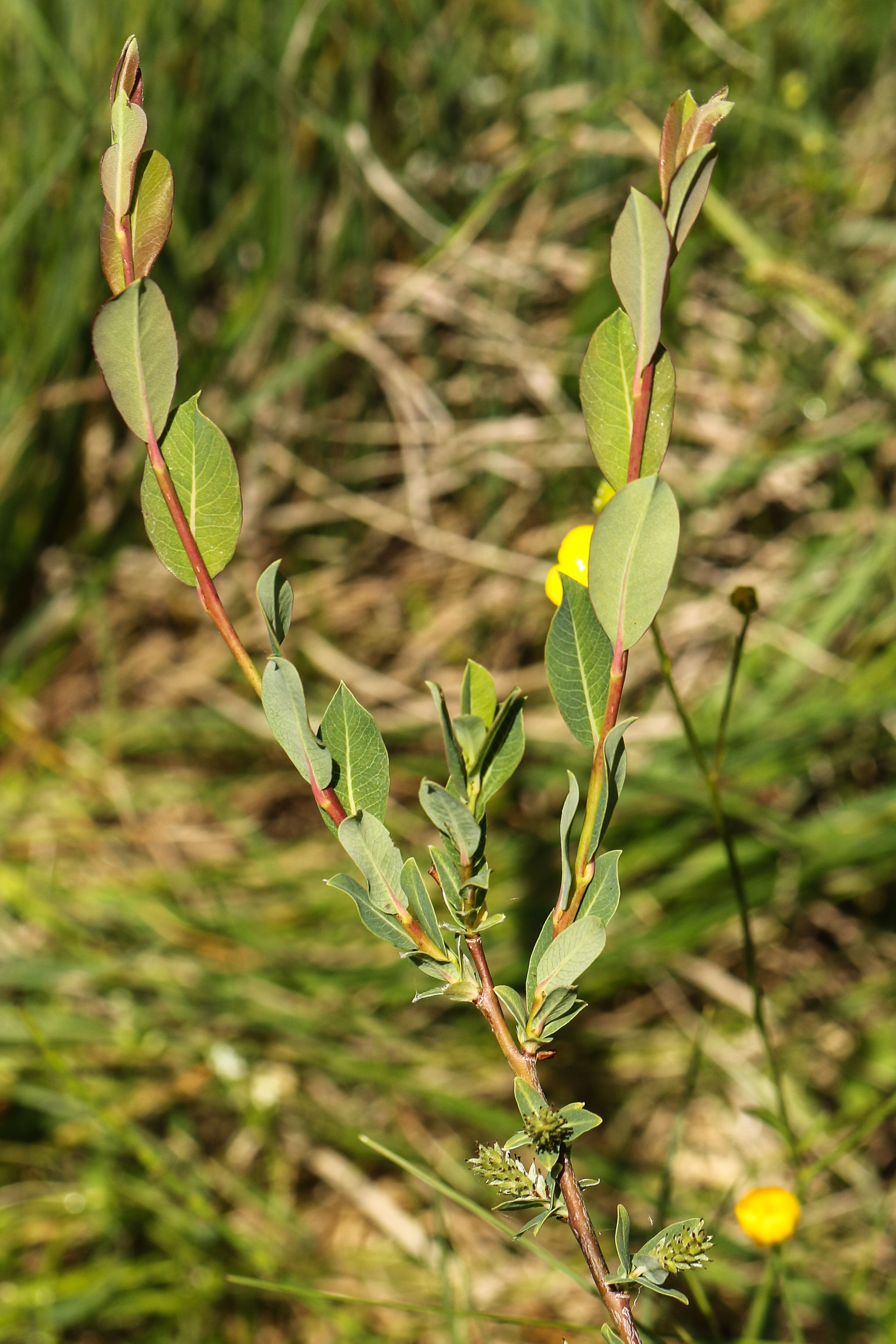 0Y0A0719.jpg