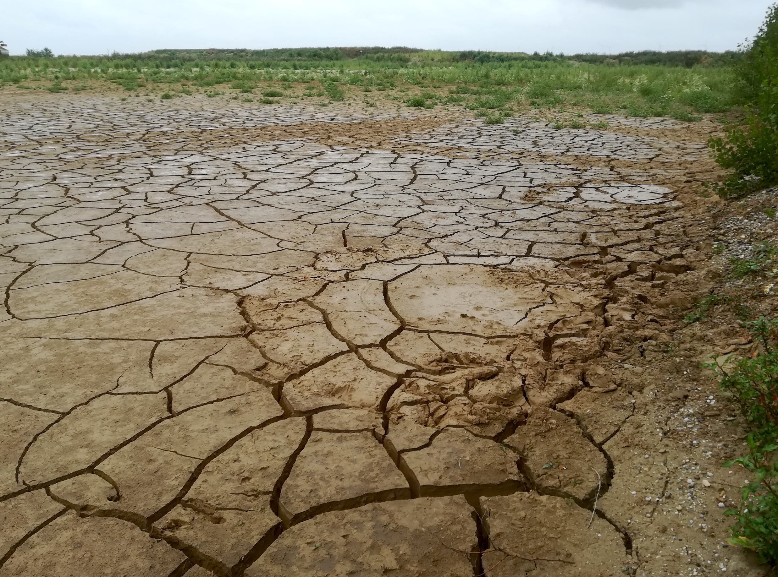 schwundrisse kieswerke schönfeld lassee_20190712_093034.jpg