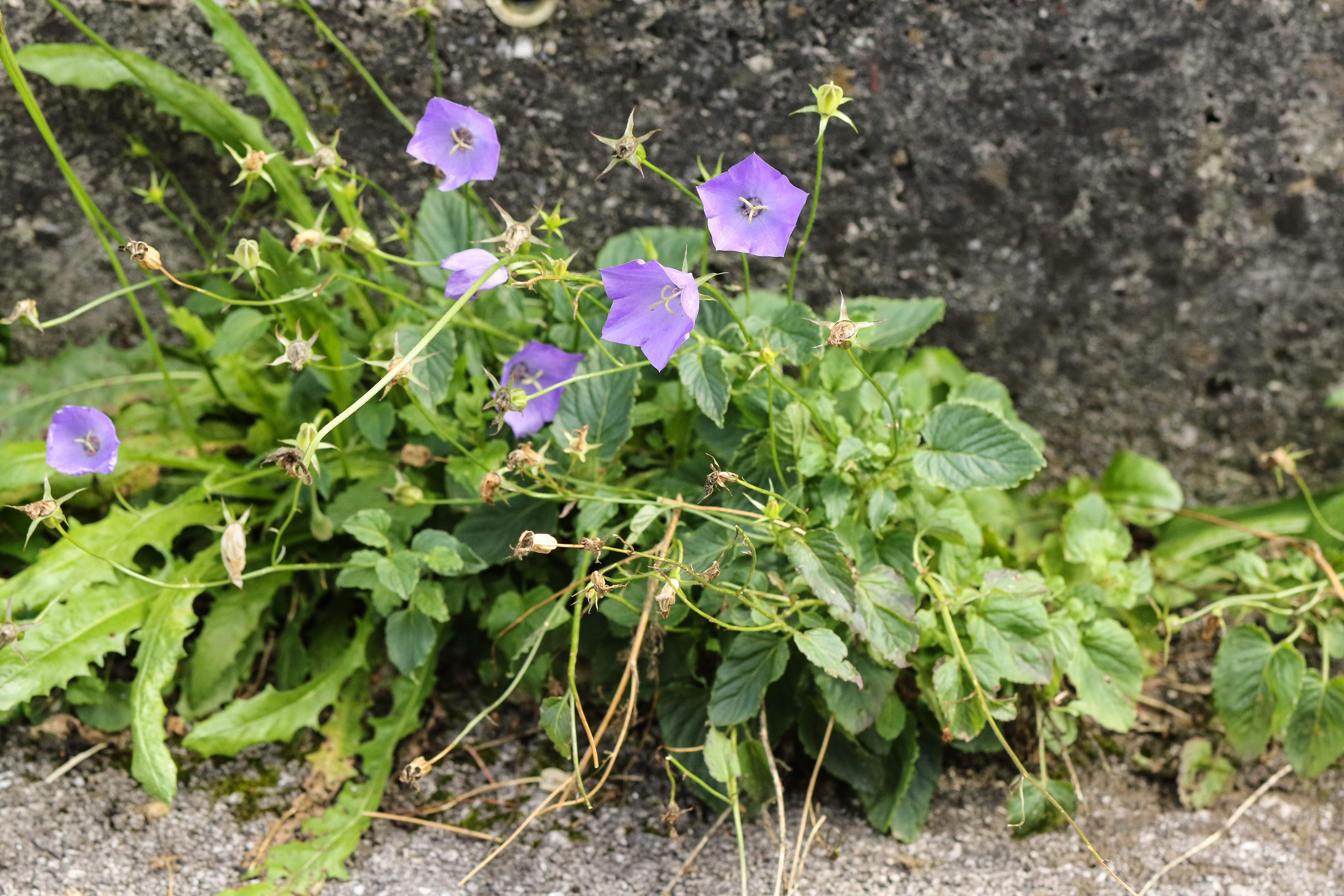 0Y0A4033.jpg