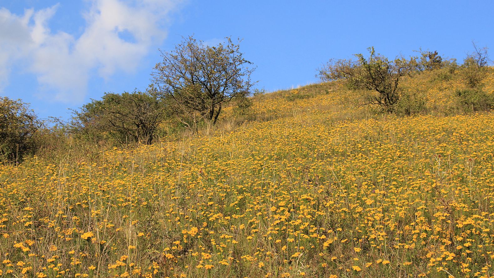 Dernberg NOENB_20190914_14.jpg