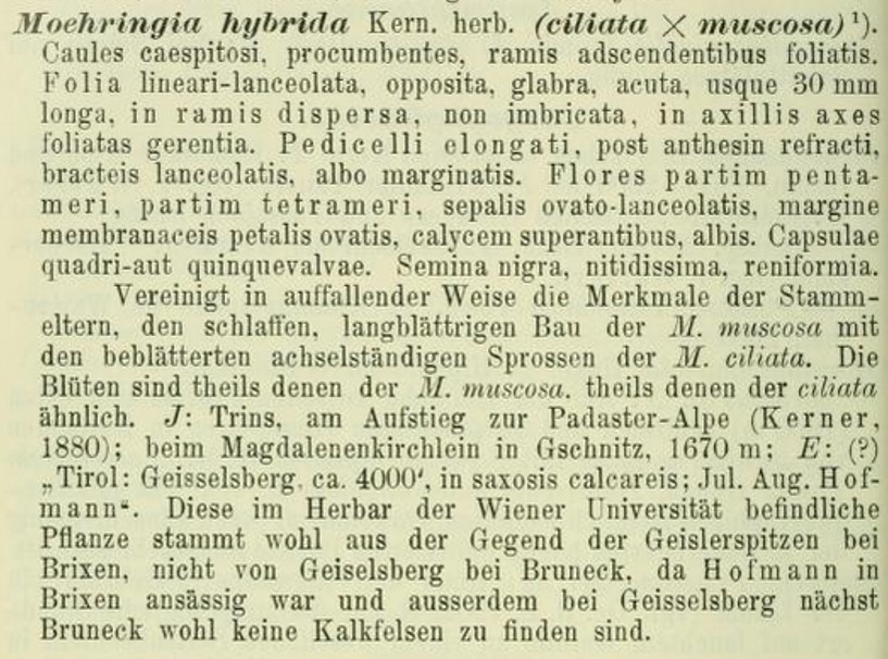 Originaldiagnose_ÖBZ_1903.jpg