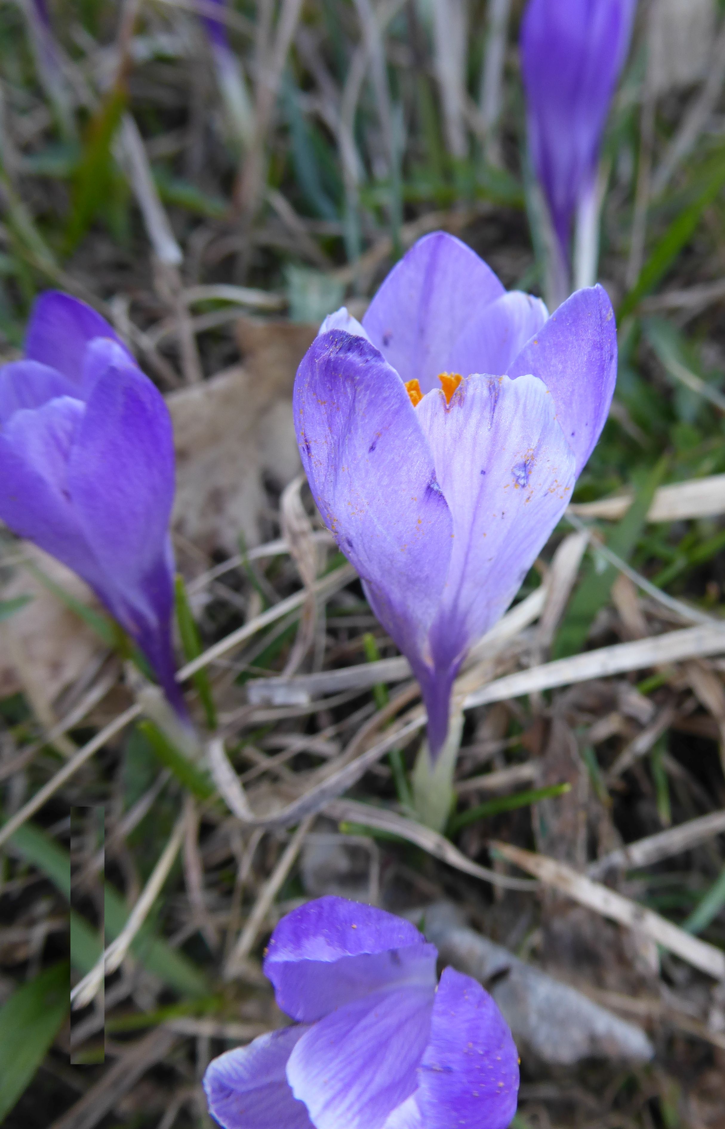 3P1230831.JPG