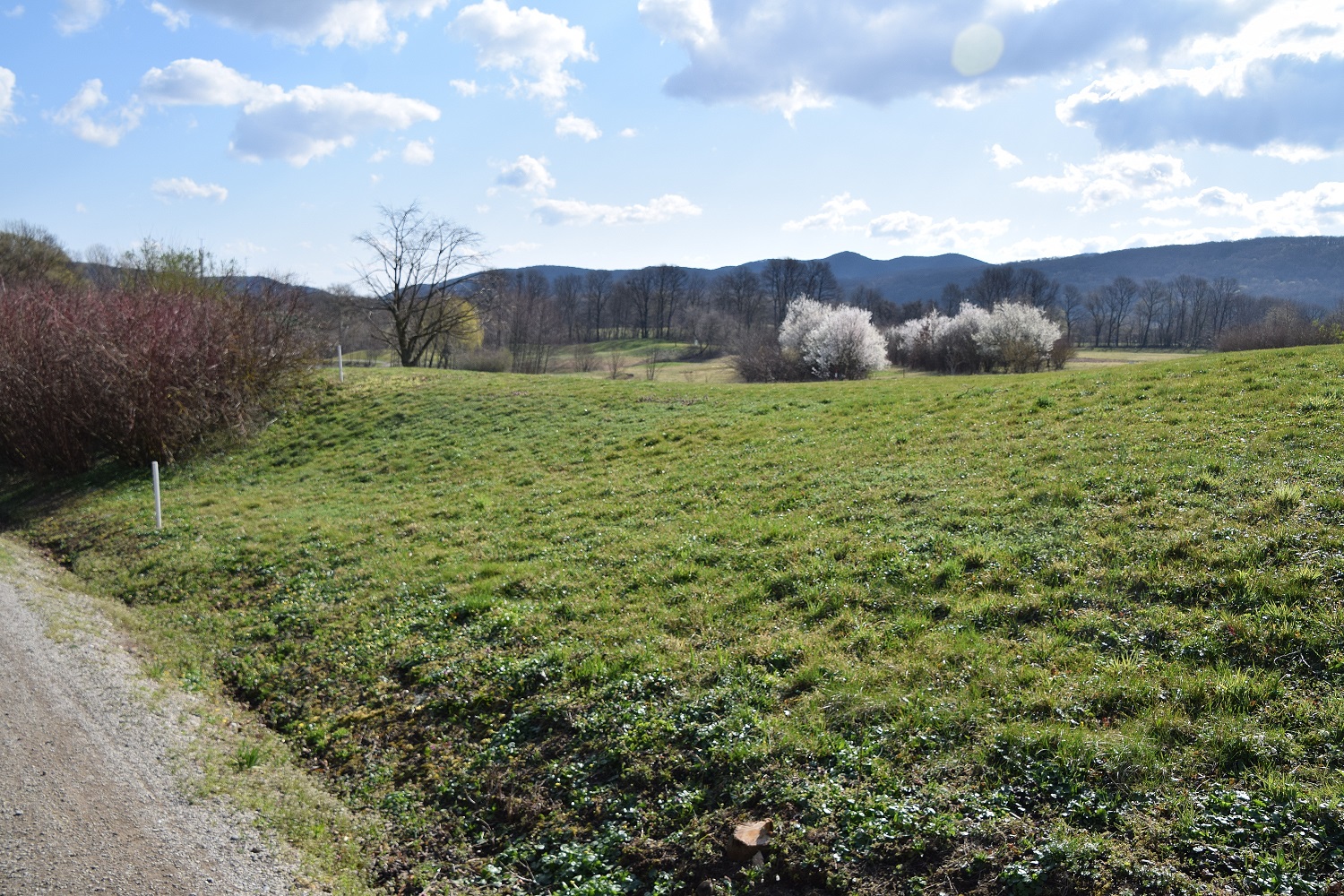 Breitenfurt-Golfplatz-22032020-(9).JPG