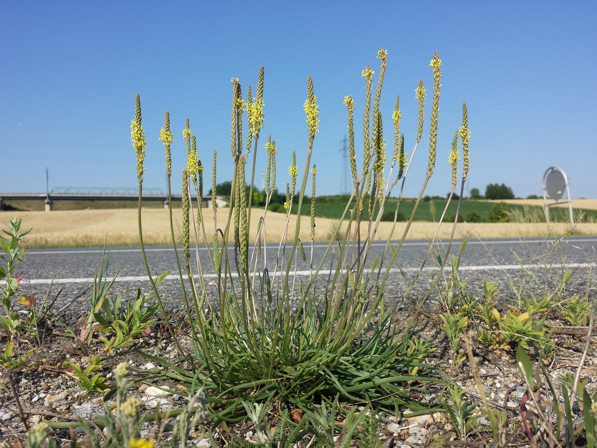 20170706_085839.jpg