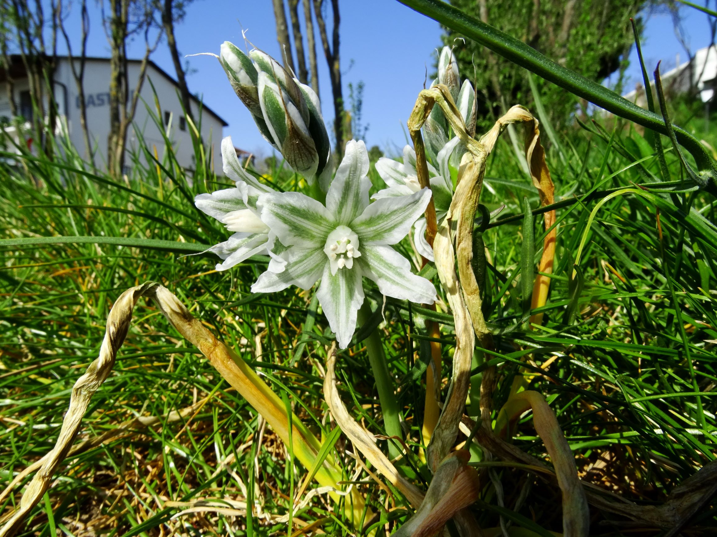 DSC06462-kopie.JPG