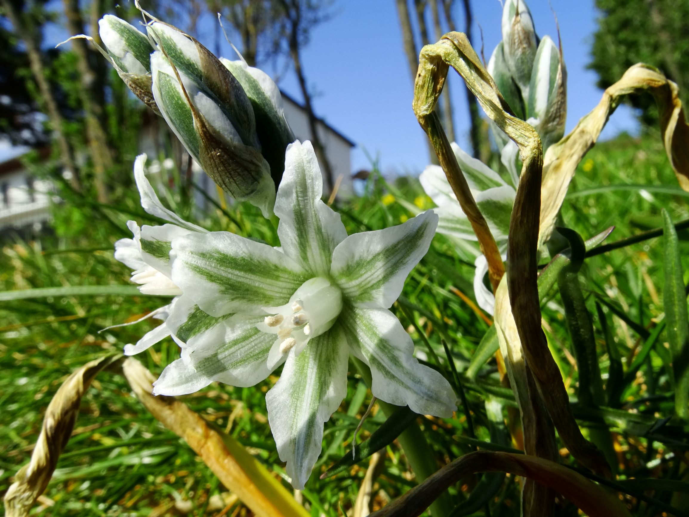 DSC06465-kopie.JPG