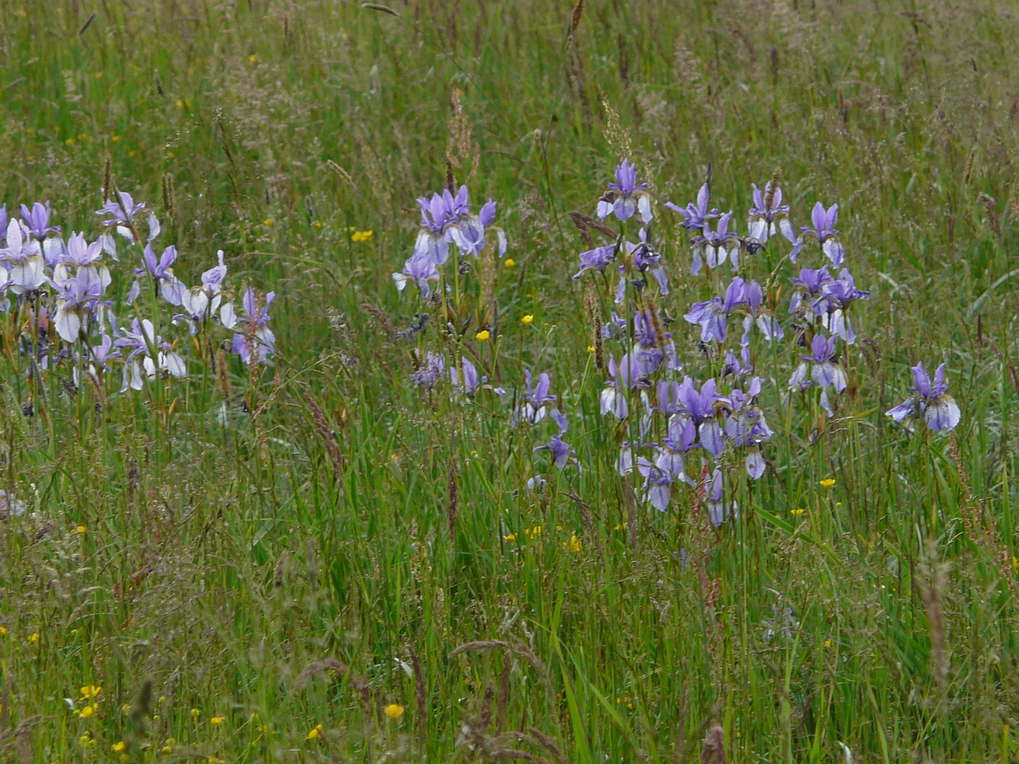 P1090240.JPG