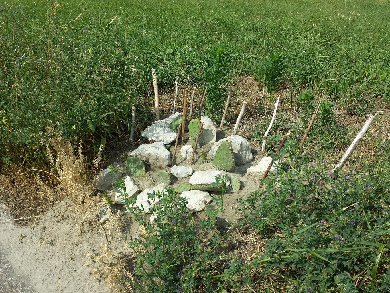 20170623_161724.jpg