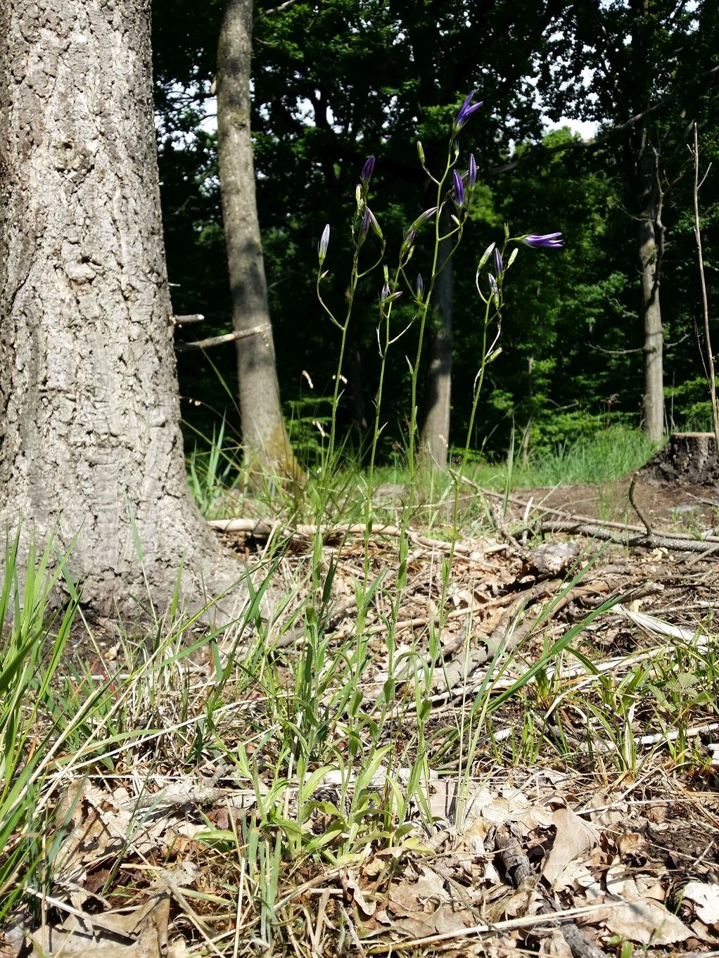 20200601_094313.jpg