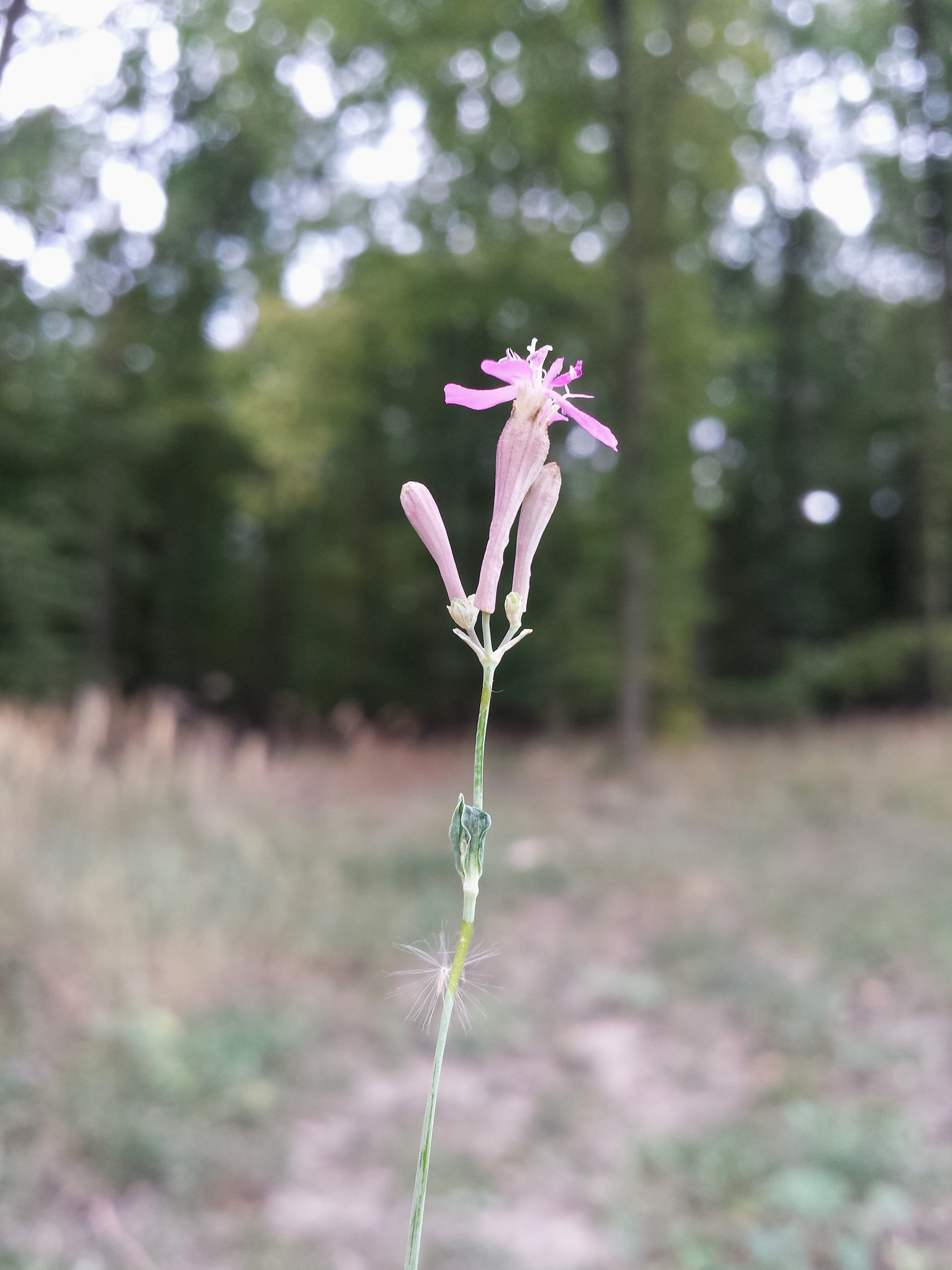 20170805_102522.jpg