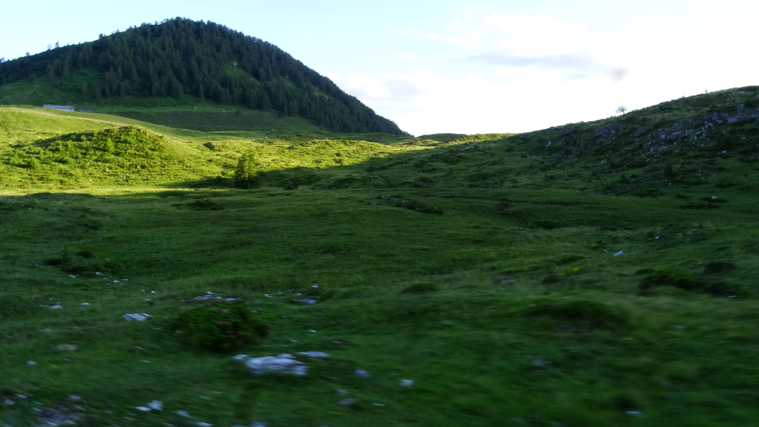 DSC07762 moor bei labenbergalm.JPG