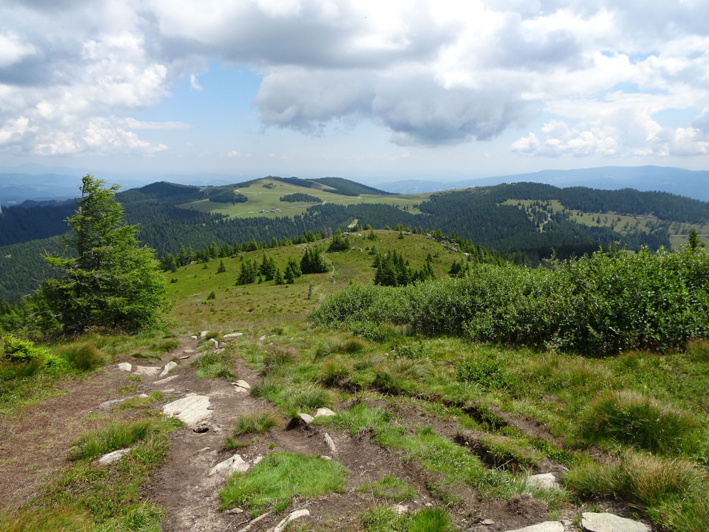 DSC07587 rappold blick zur stubalm.JPG