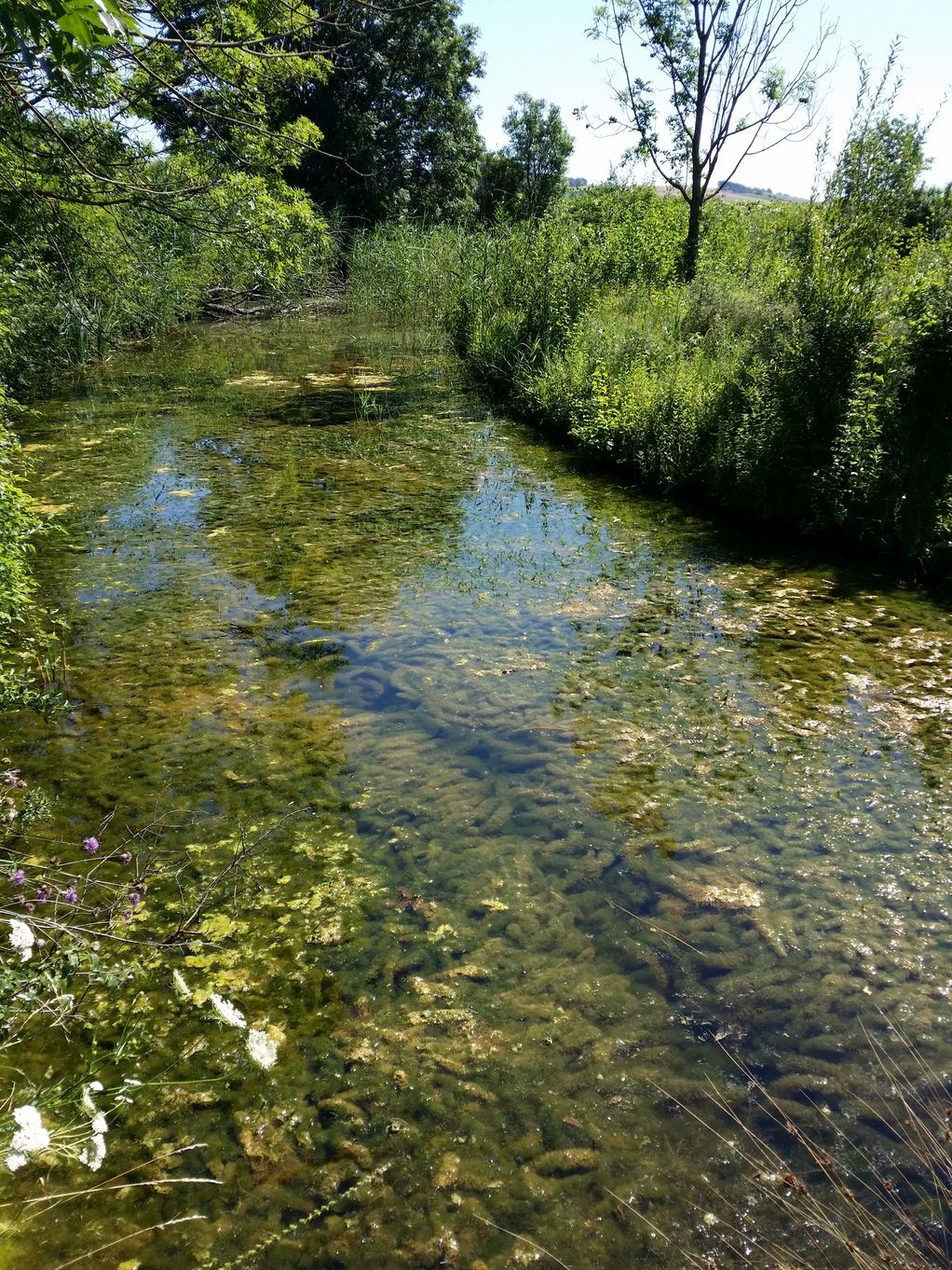 20200730_104832.jpg