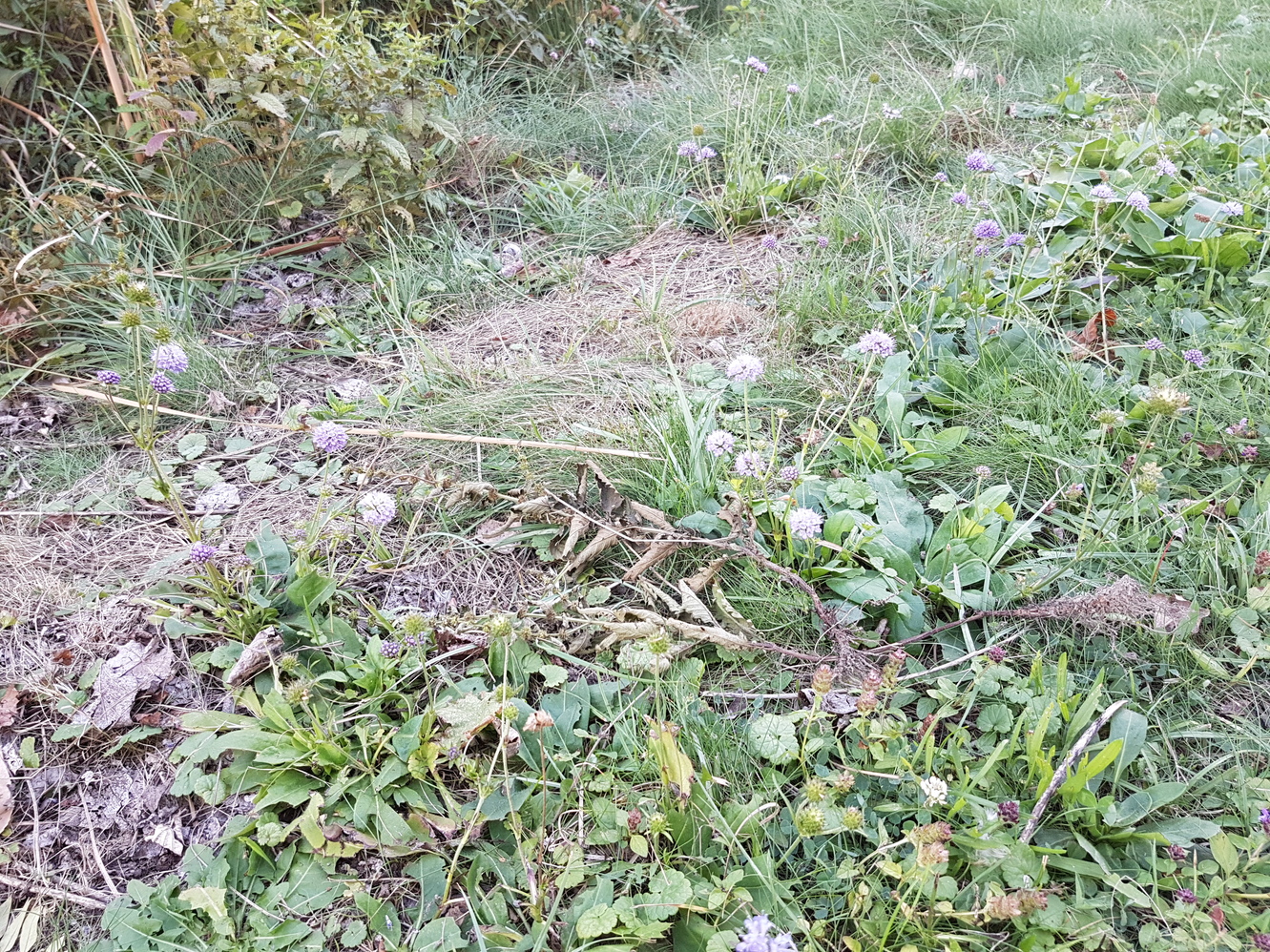 20170905_184022.jpg