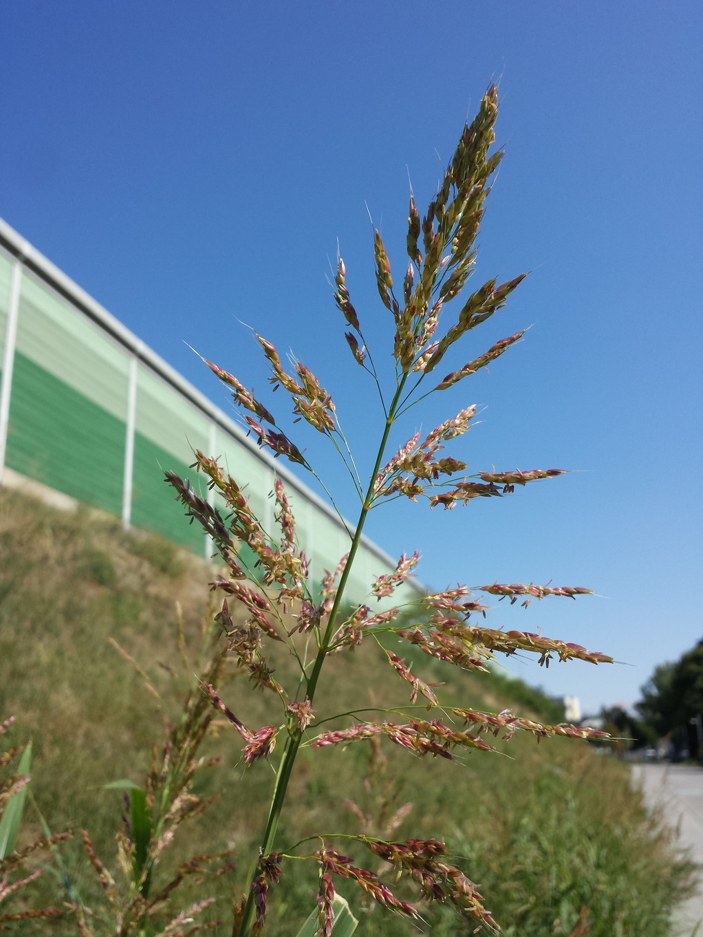 20170905_120102.jpg