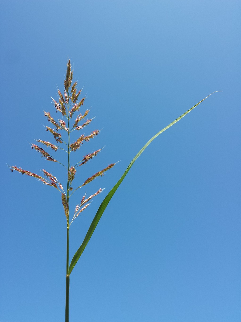 20170905_120327.jpg