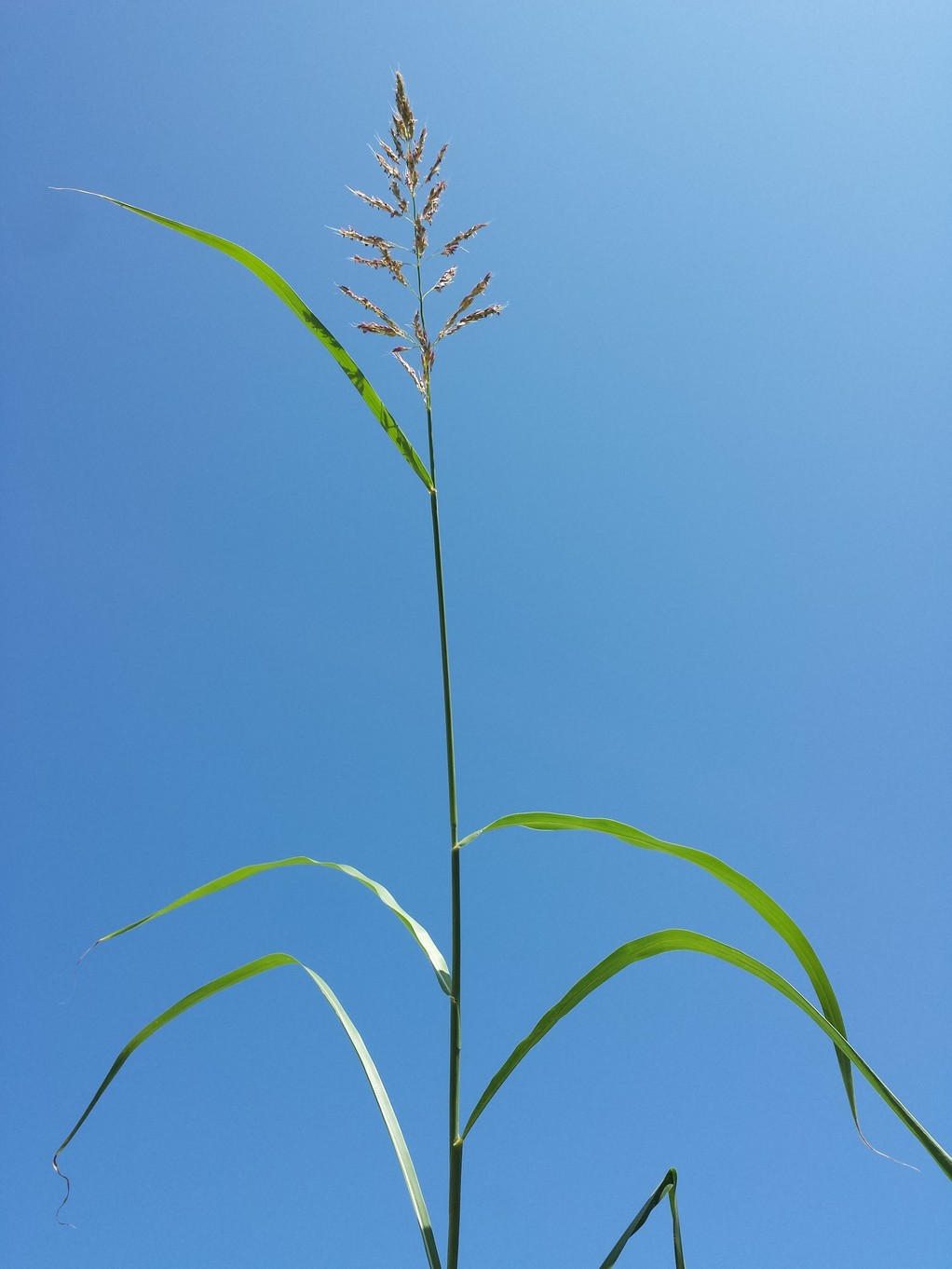 20170905_120346.jpg