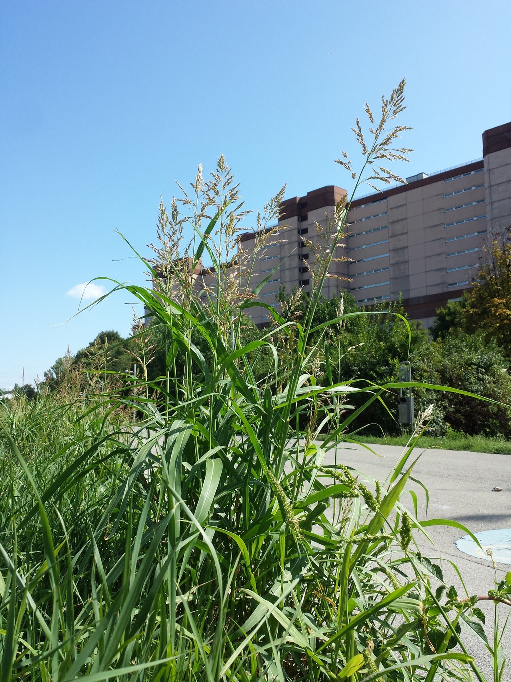 20170905_121446.jpg
