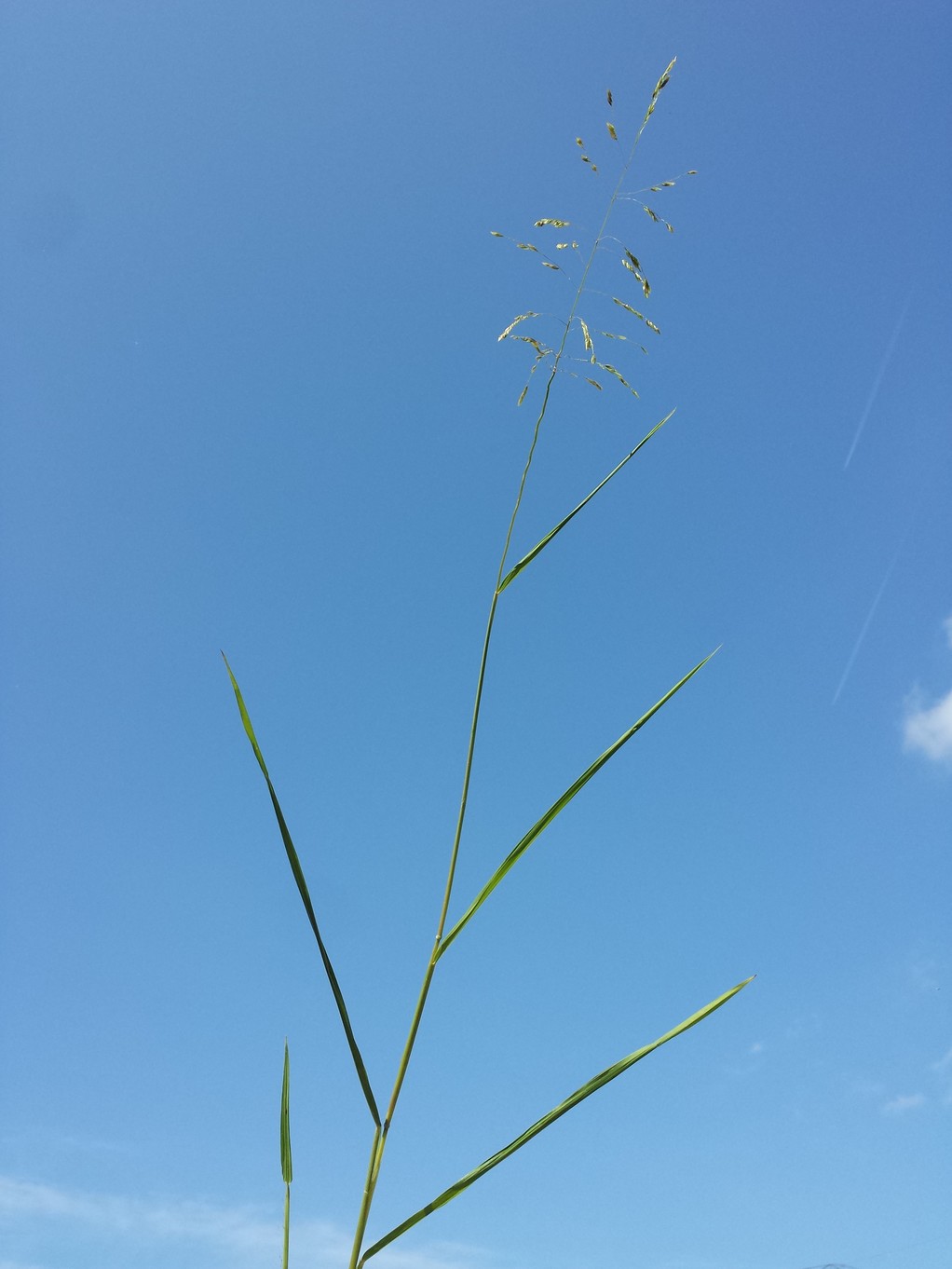 20170909_123107.jpg