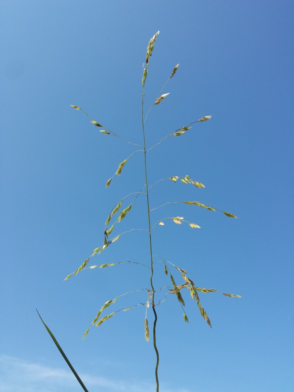20170909_123205.jpg