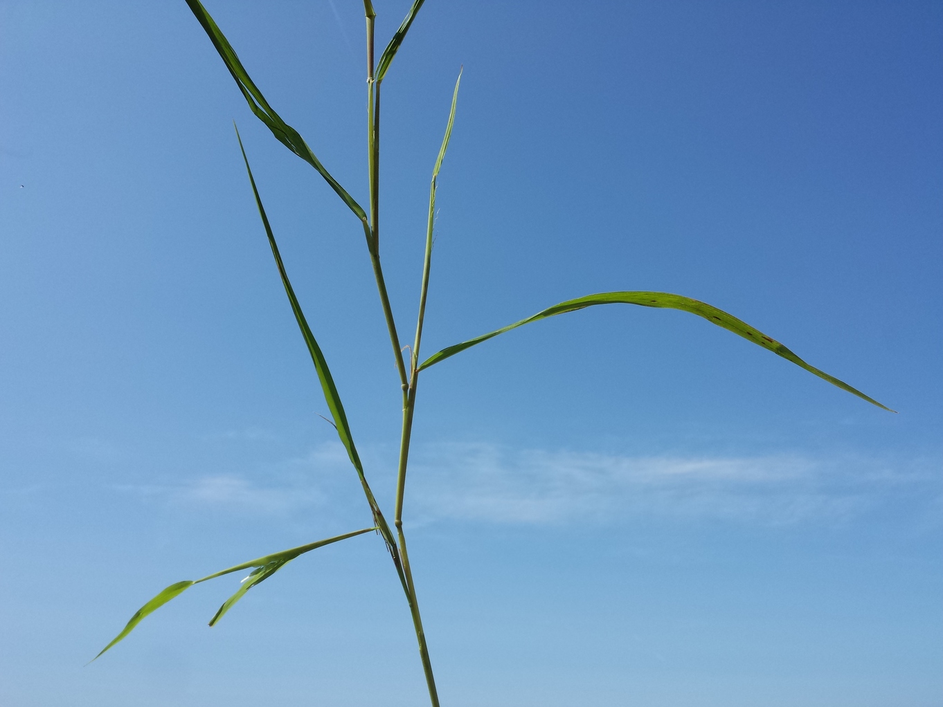 20170909_123441.jpg