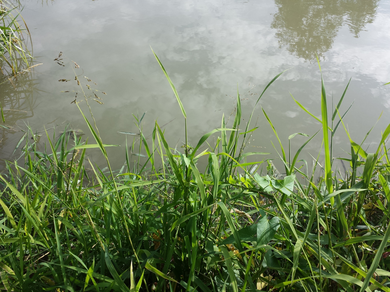 20170910_085451.jpg