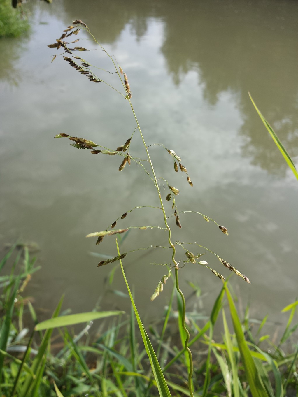 20170910_085522.jpg