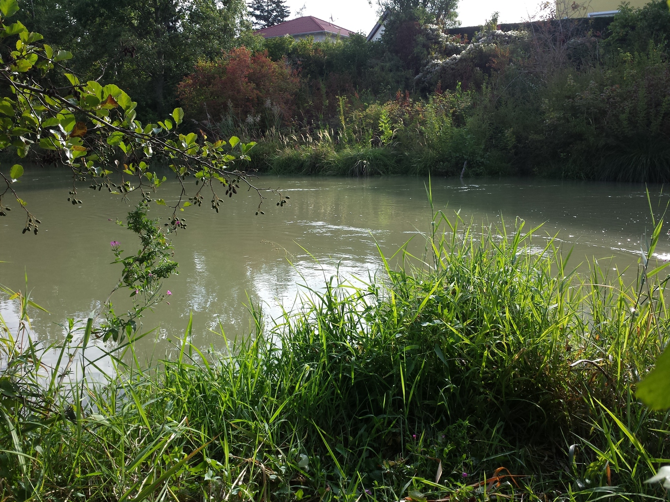20170910_085826.jpg