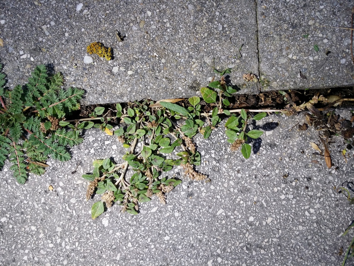 20200908_191417.jpg