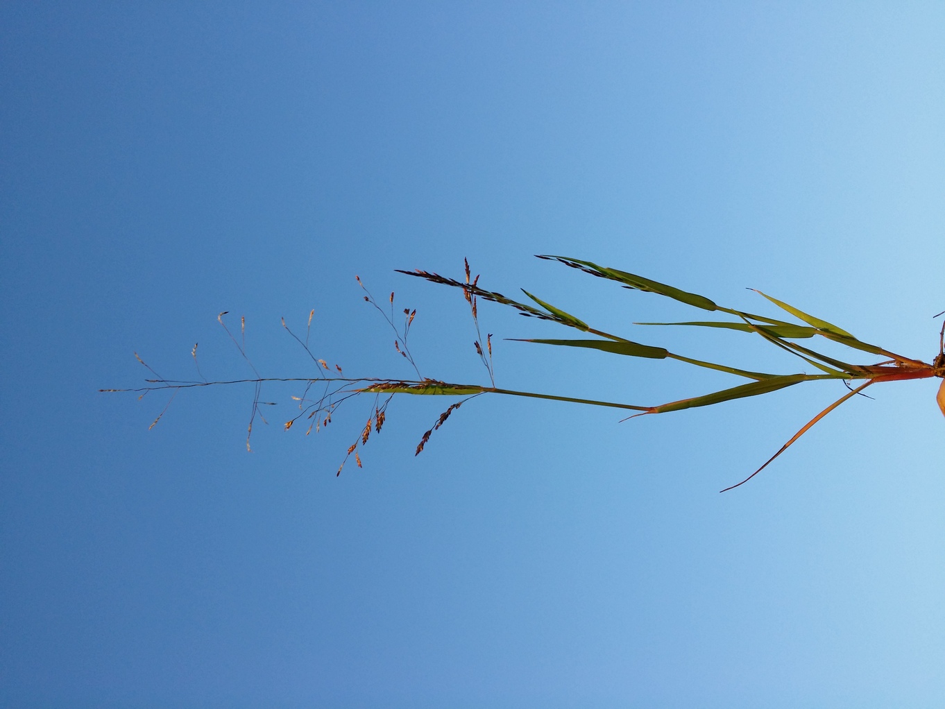 20200908_185351.jpg