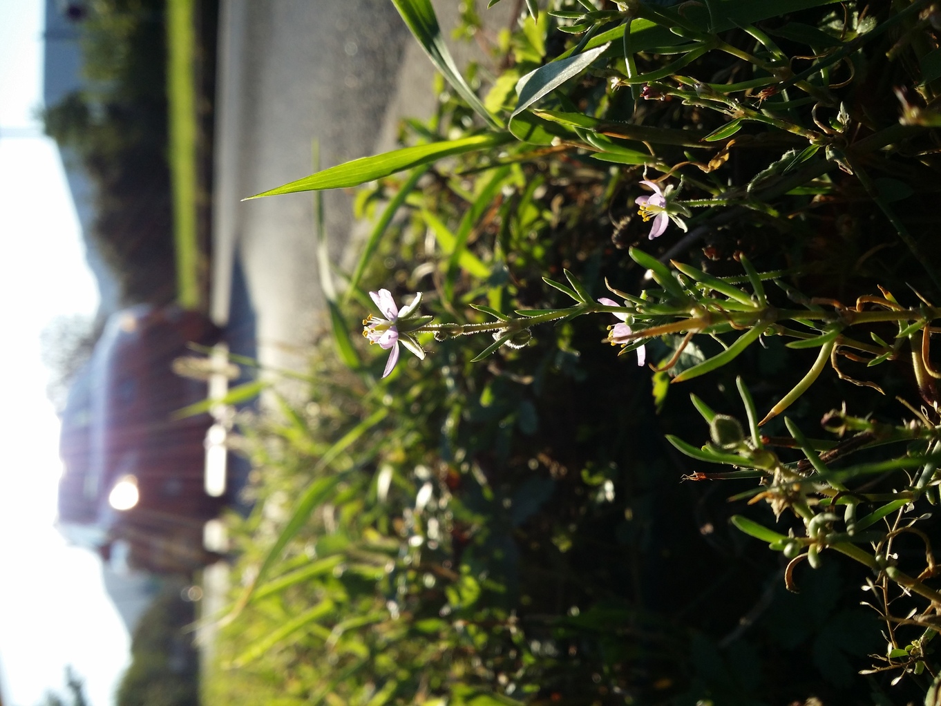 20200909_174900.jpg