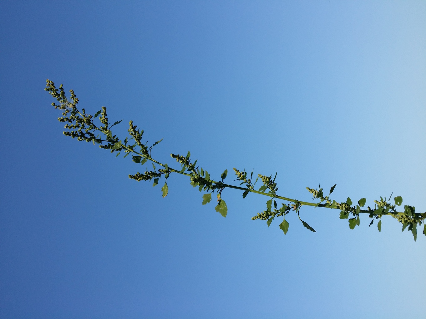 20200912_175205.jpg