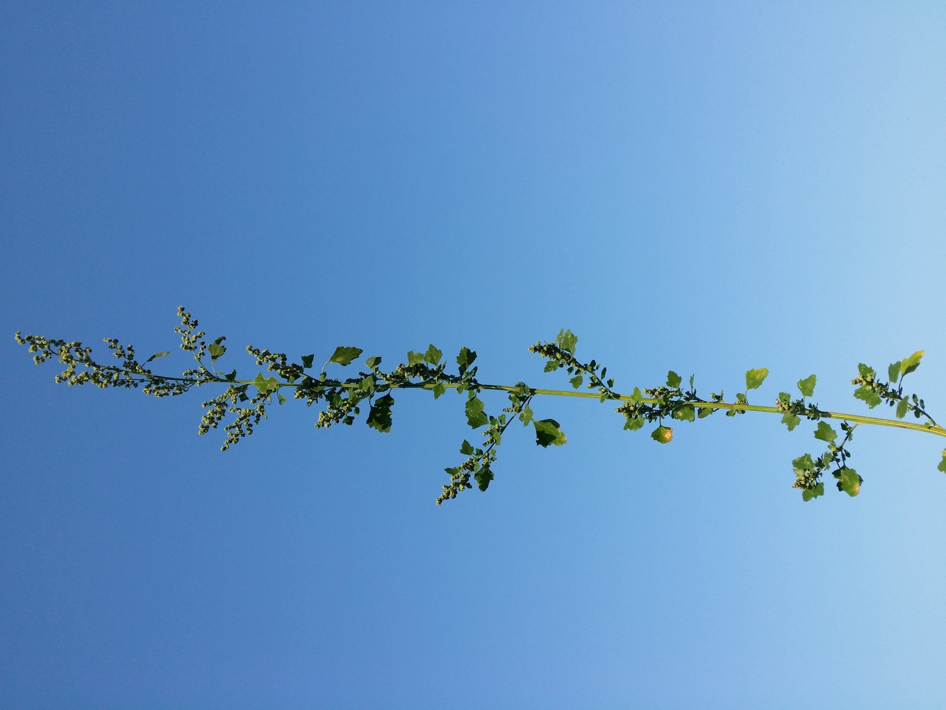 20200912_175223.jpg