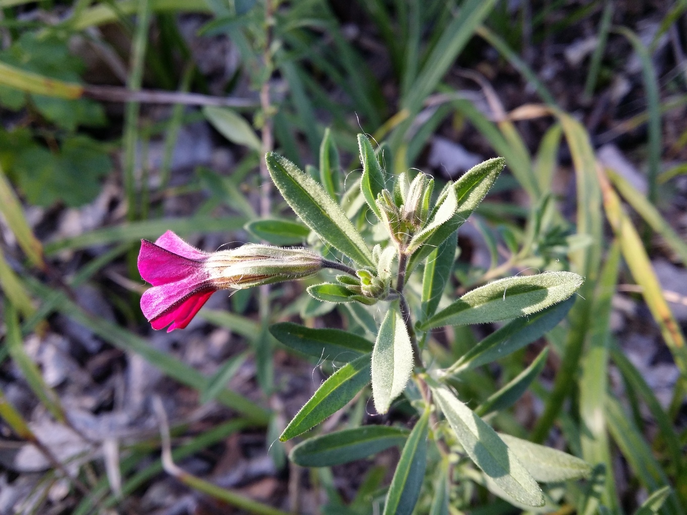 20200918_165417.jpg