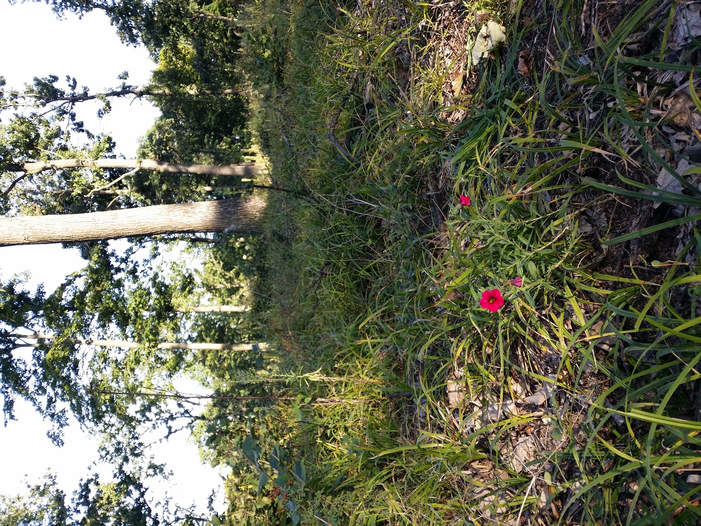 20200918_170831.jpg