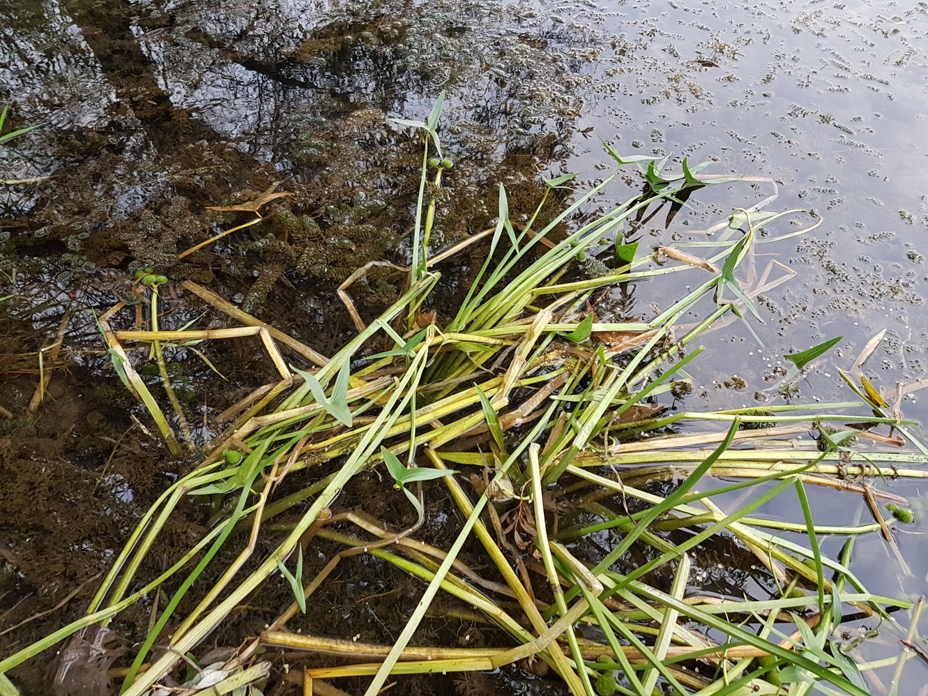 20170921_181039.jpg
