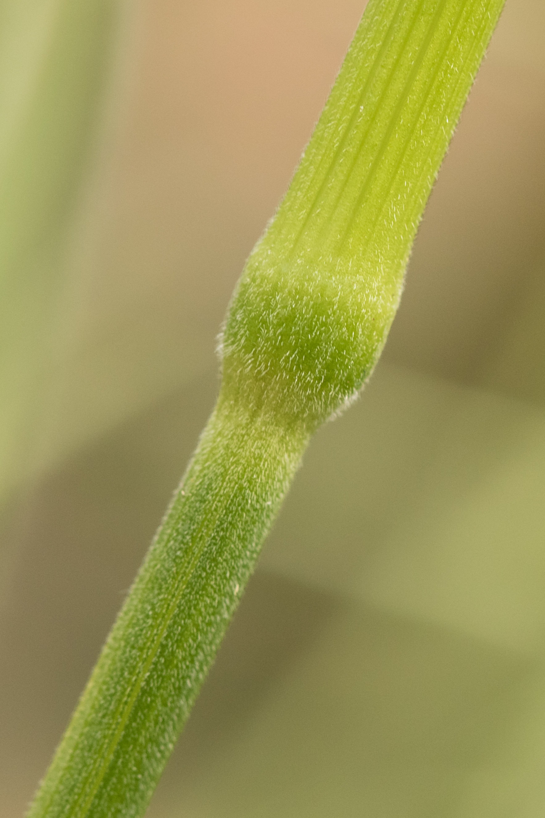 0Y0A8453.jpg