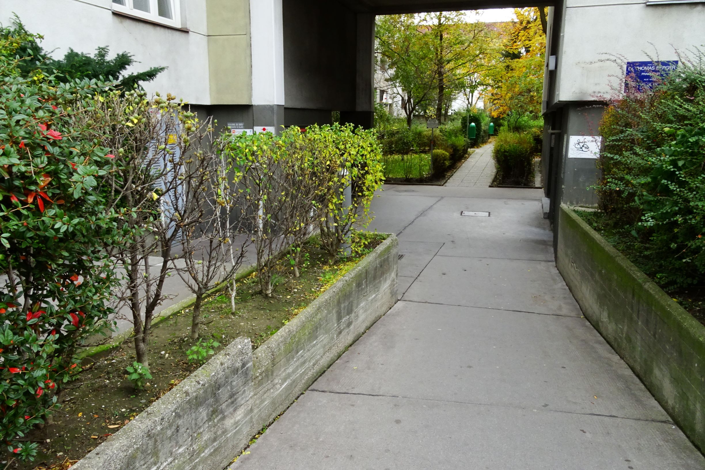 DSC03012 wien-20 marchfeldstraße, solanum nigrum.JPG