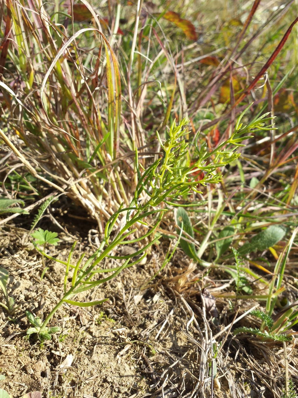20171002_102204.jpg