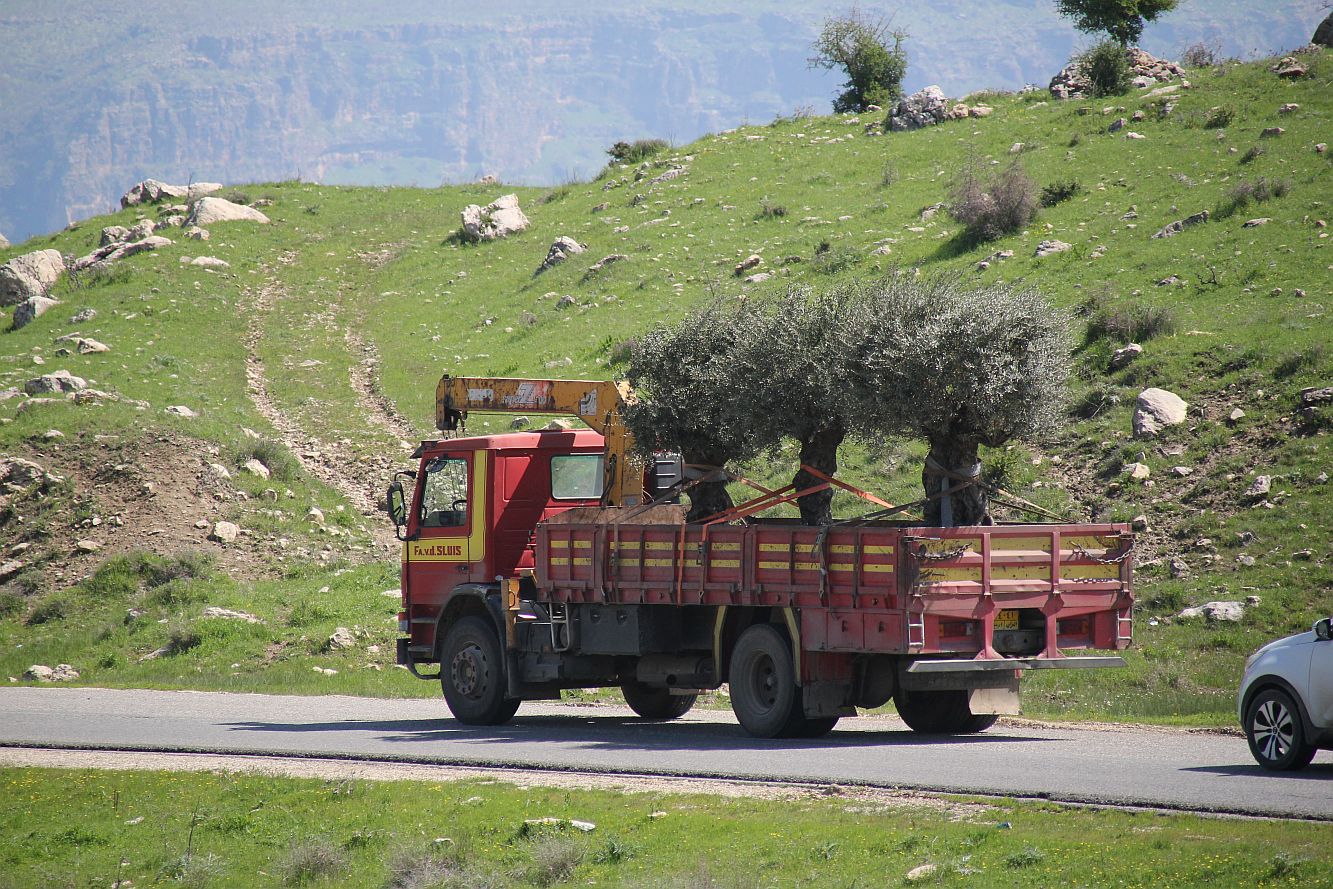 Fahrt nach Barzan 3_20190418_13.jpg