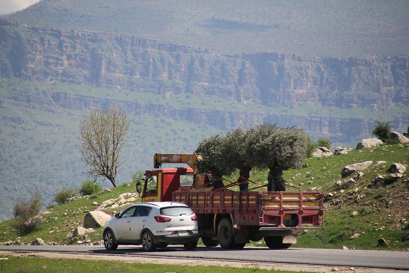 Fahrt nach Barzan 3_20190418_16.jpg