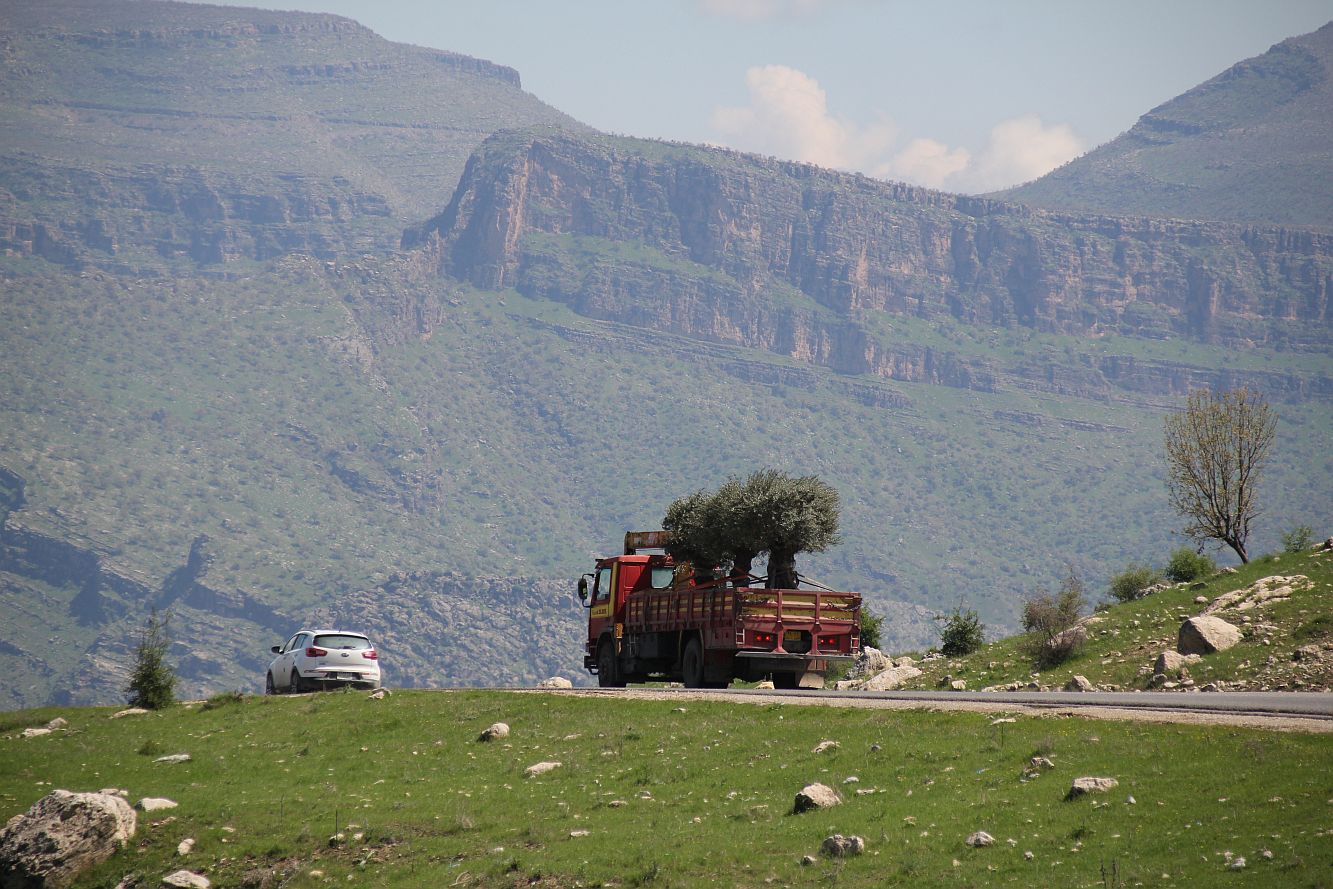 Fahrt nach Barzan 3_20190418_18.jpg