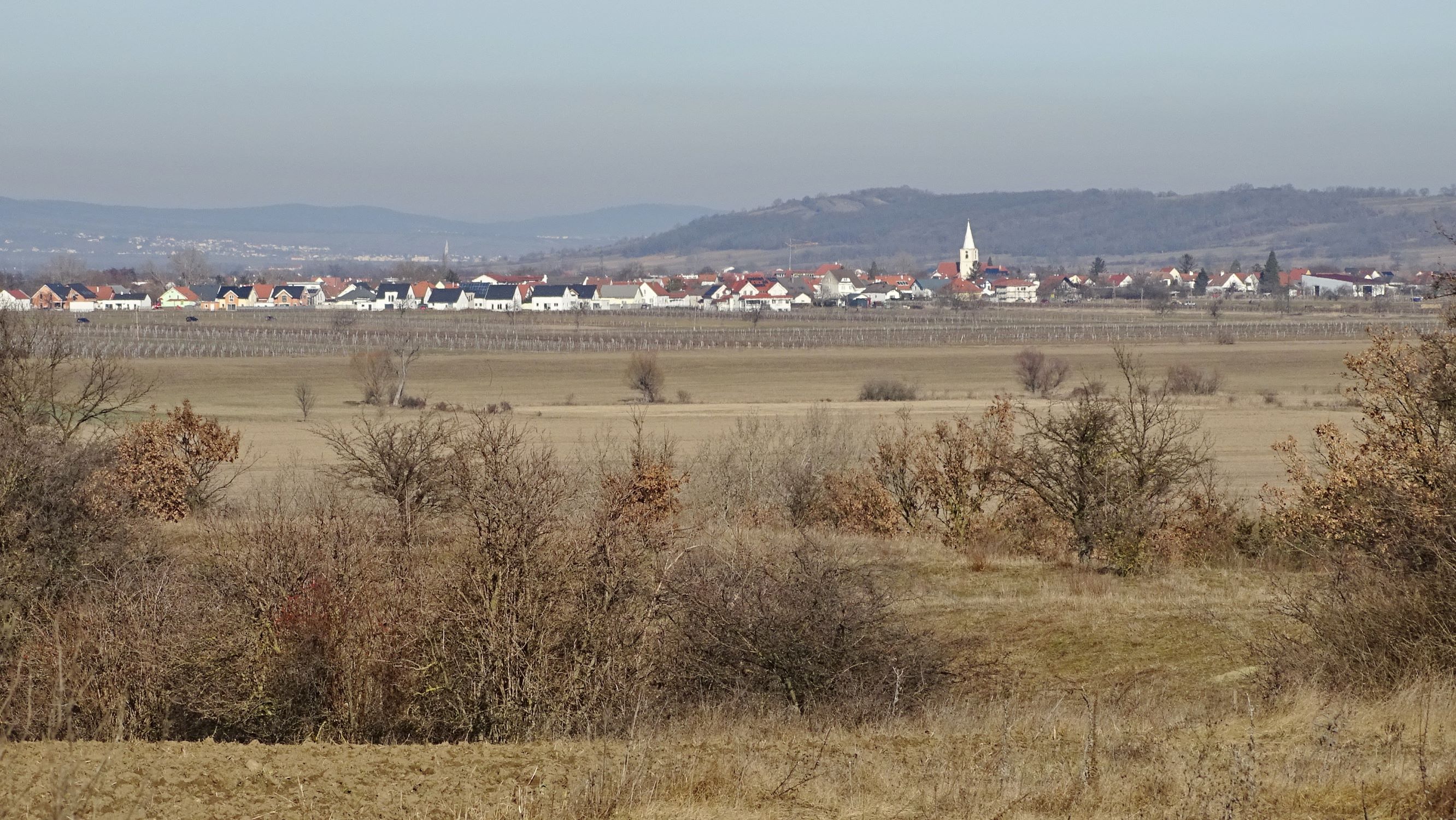 DSC08665 2020-02-01, siegendorfer puszta, blick über die sulzlacke nach st. margarethen.JPG