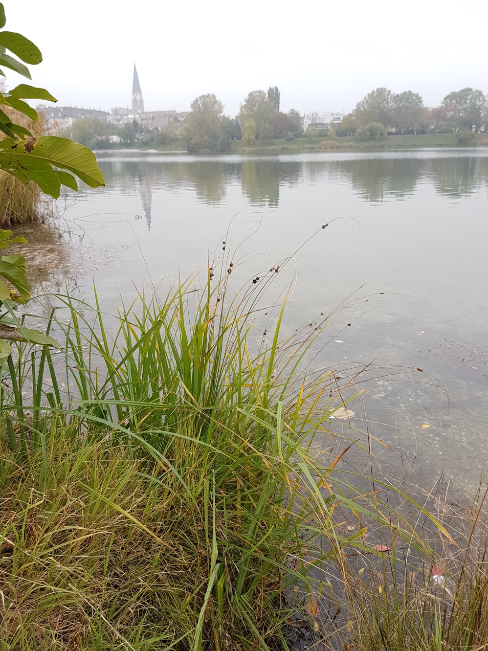 20171020_170754.jpg