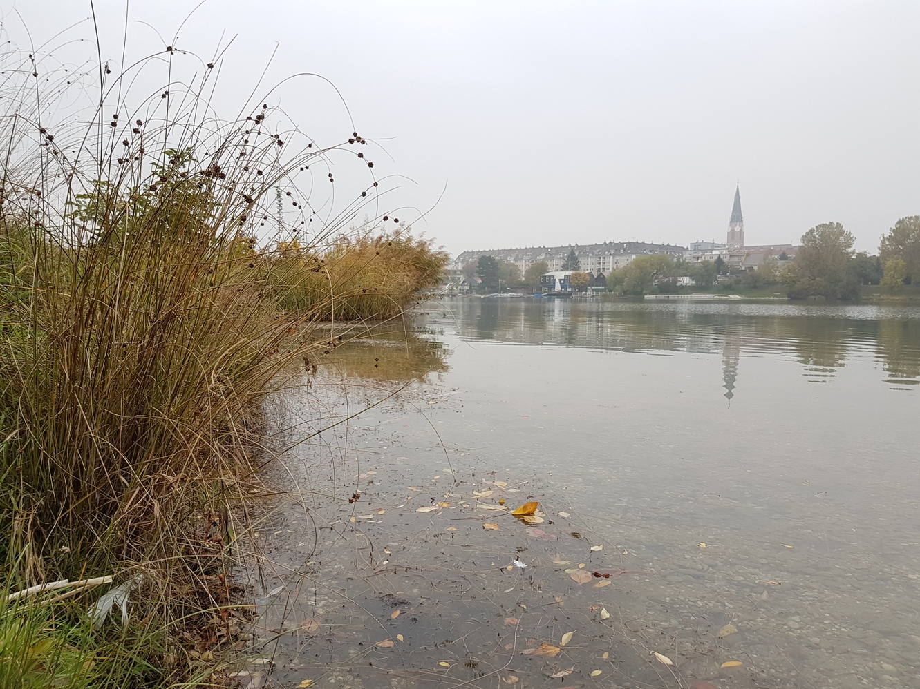 20171020_170910.jpg