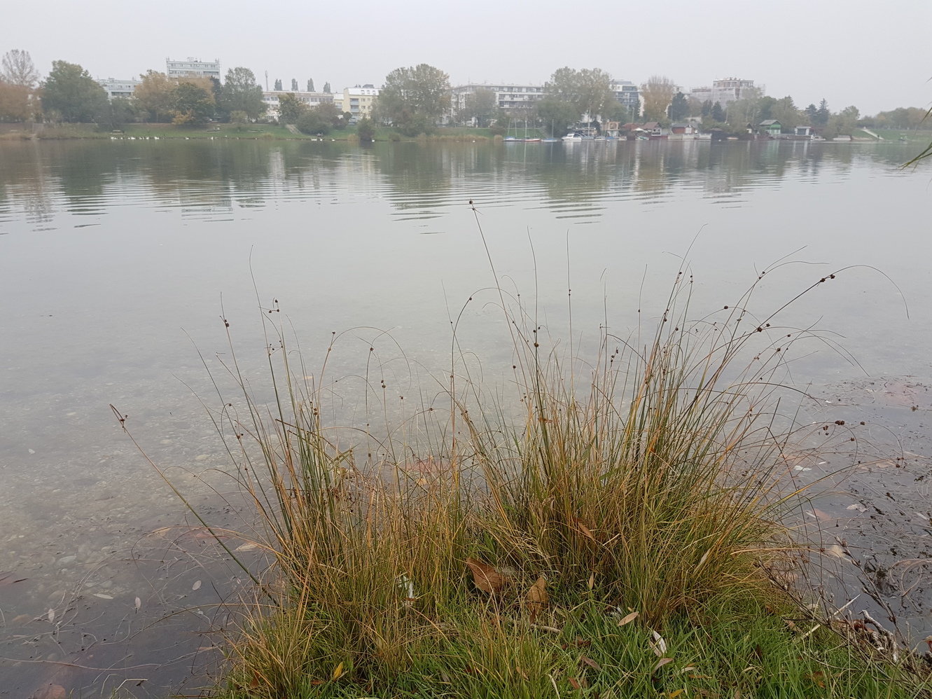 20171020_171231.jpg