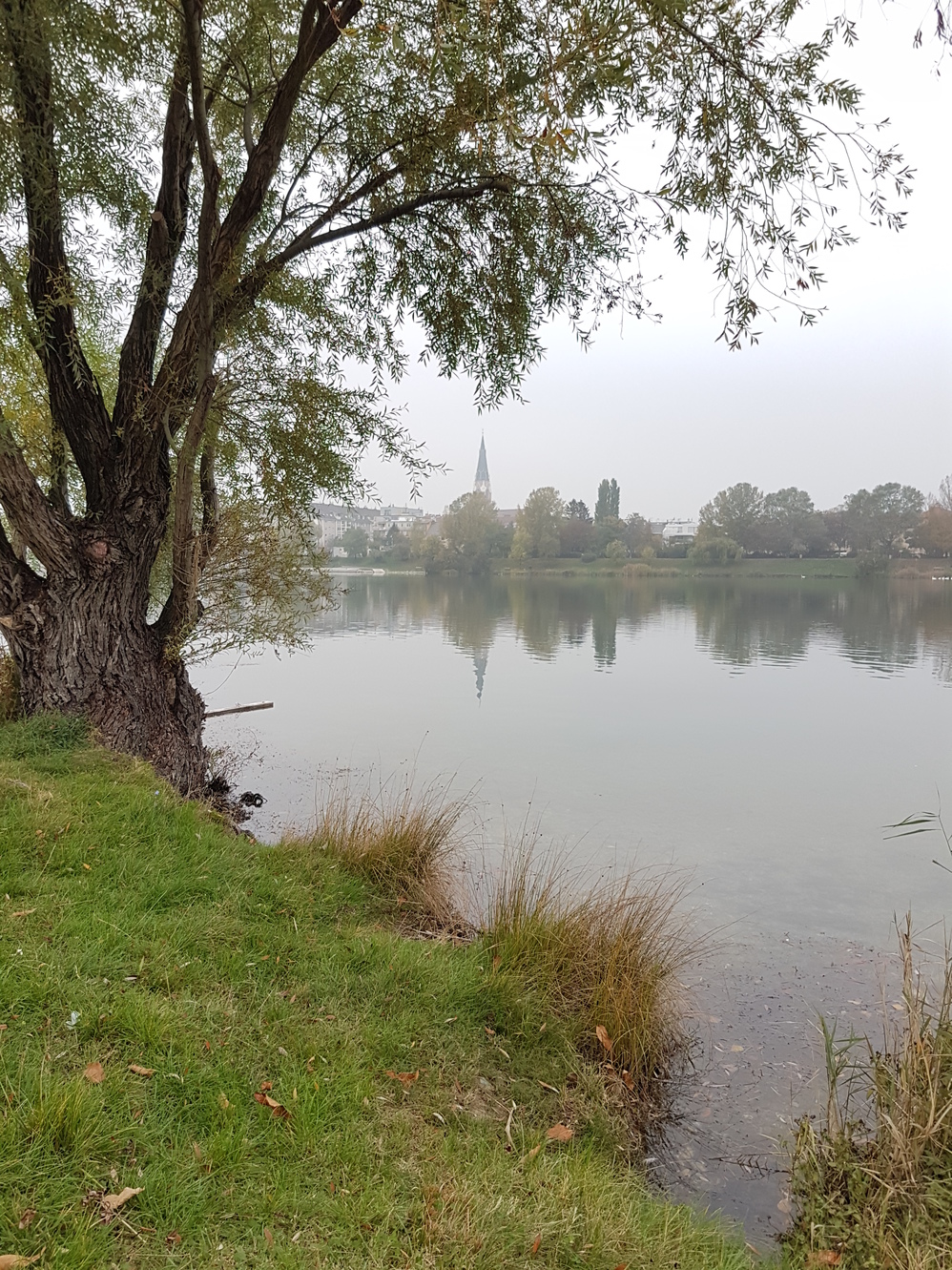 20171020_172015.jpg