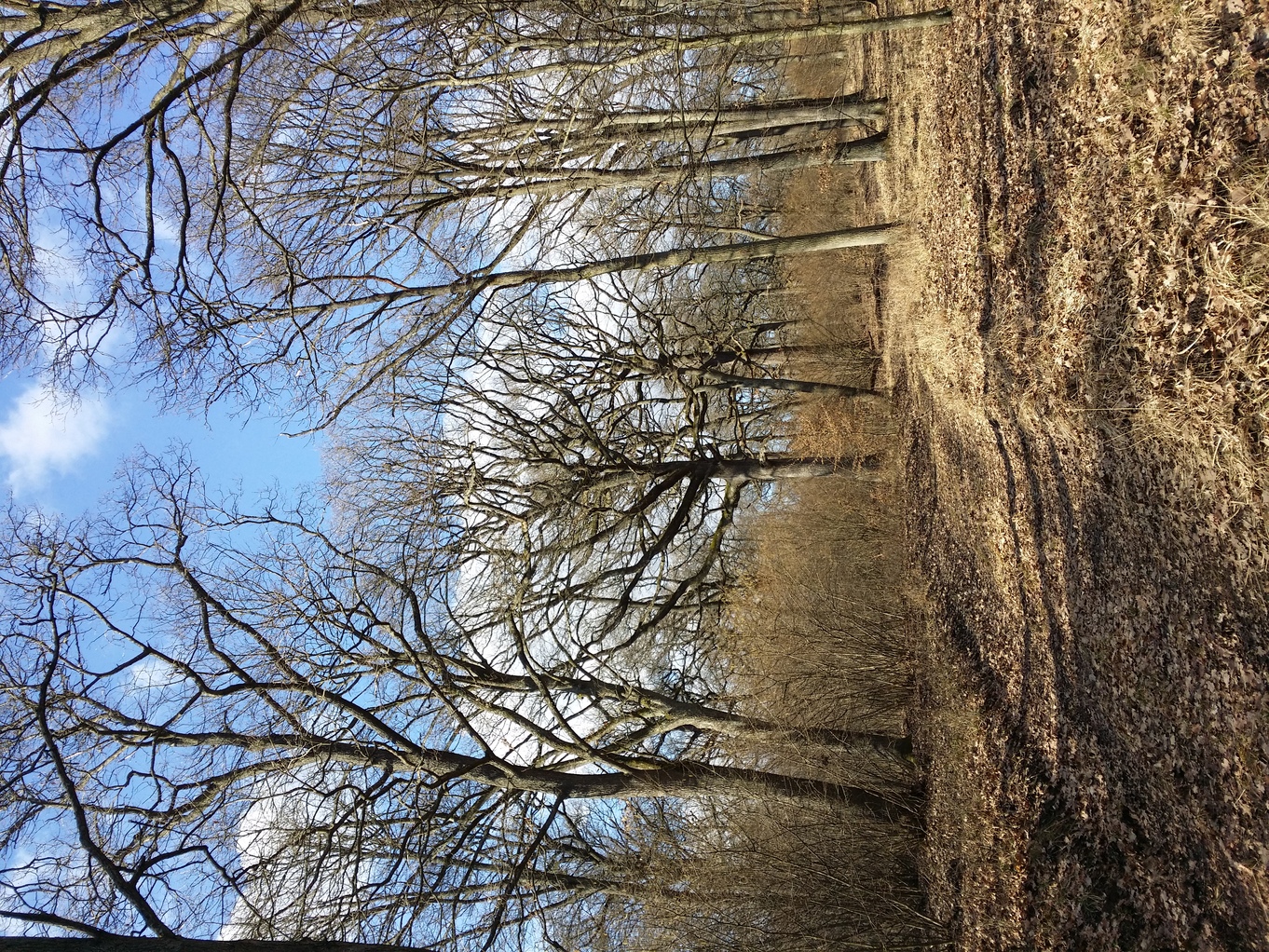 20210306_143958.jpg