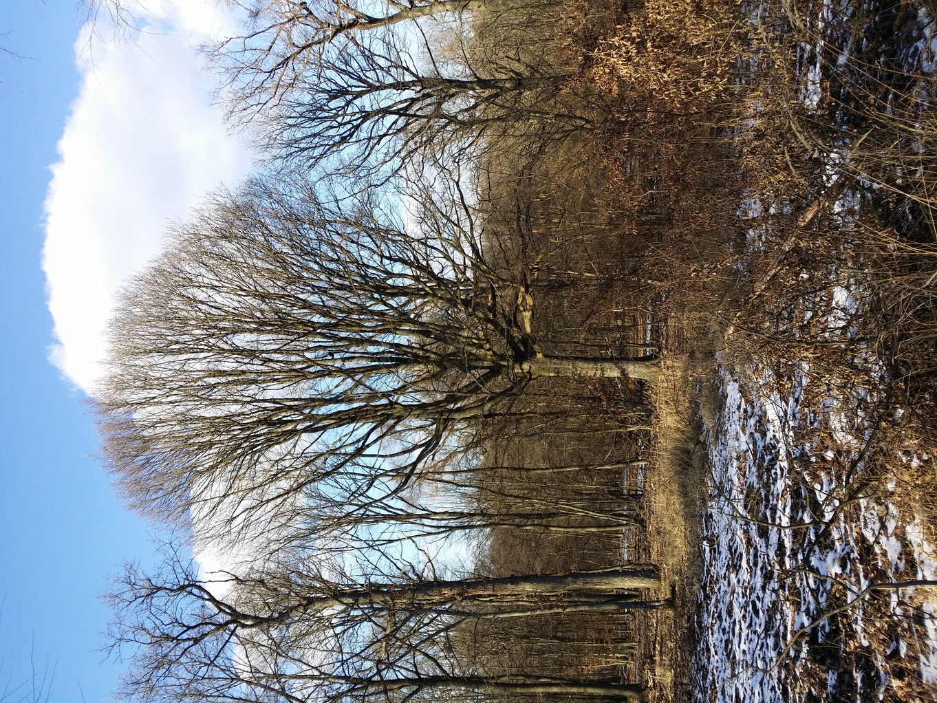 20210306_151355.jpg