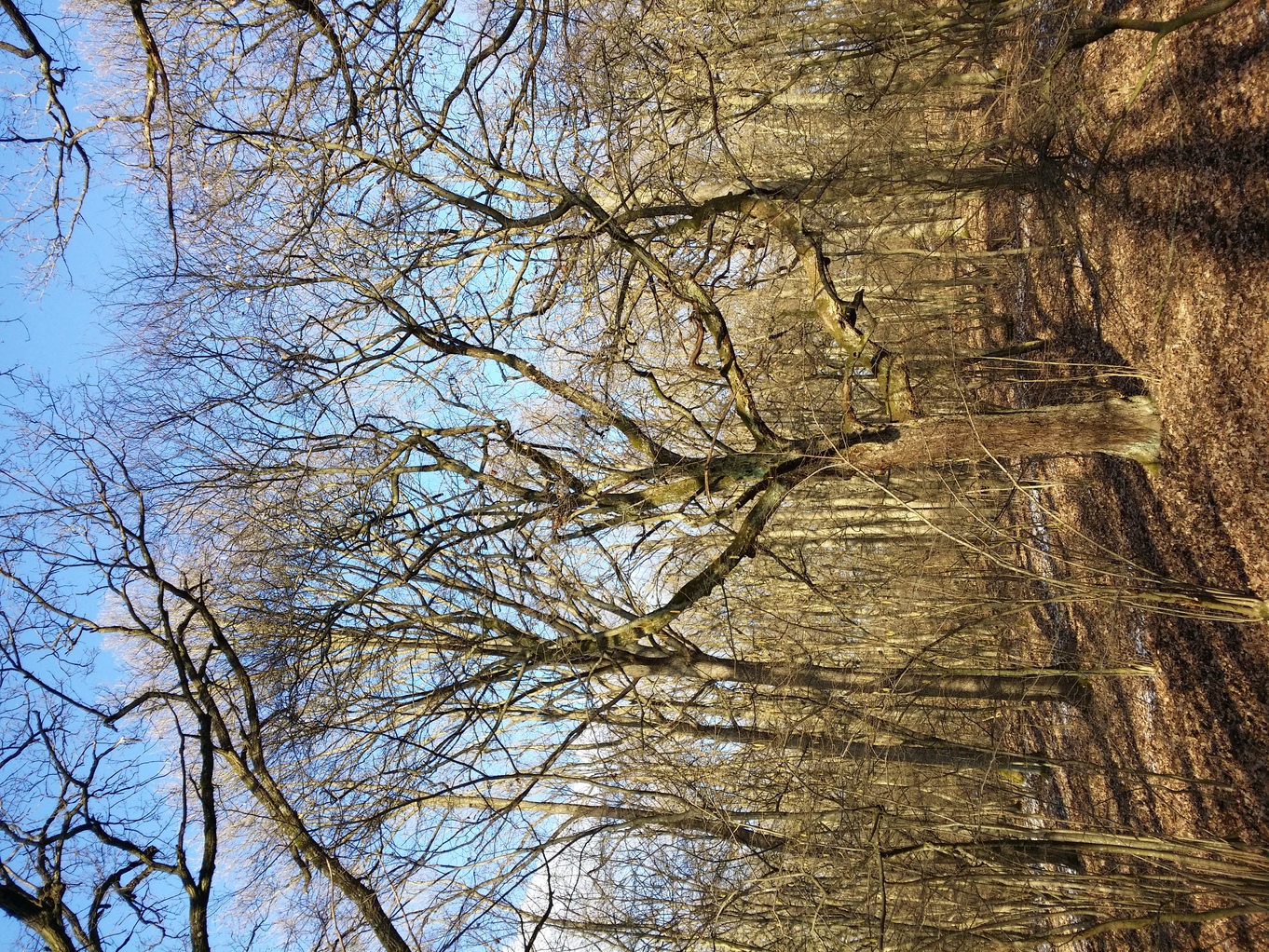 20210306_154202.jpg